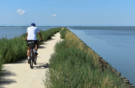 Anello Valli di Comacchio – 55 km di natura, storia e silenzi d’acqua - Slide 5